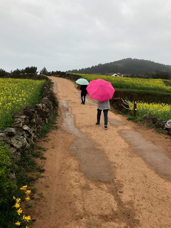 청산도 서편제길