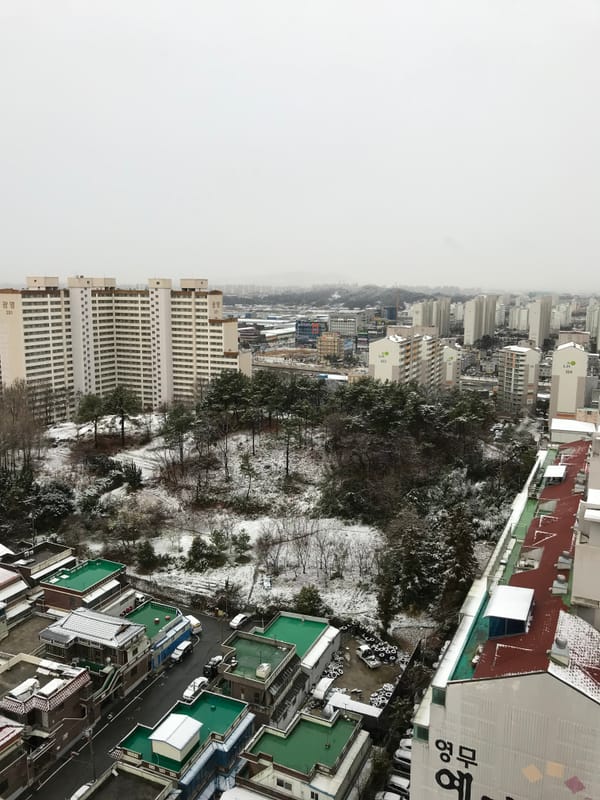 동네 겨울 ..